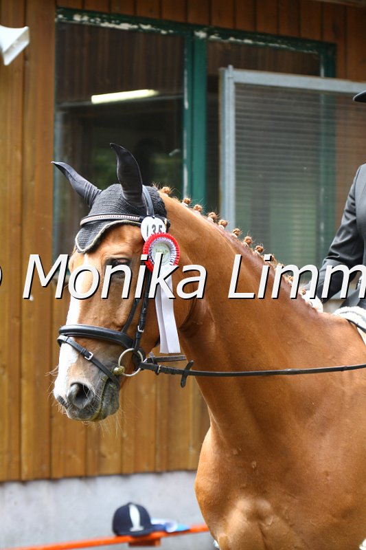 007M9441_Dressur L.JPG